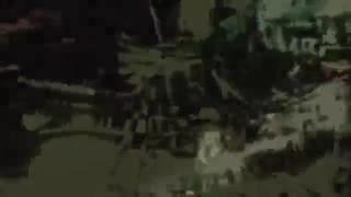 переводчик - тюлень