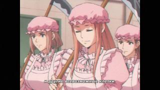 Введение в человека