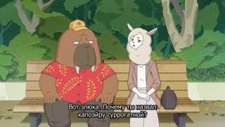 Альпака танцует