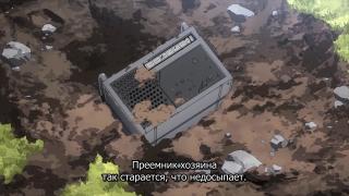 павпавпва