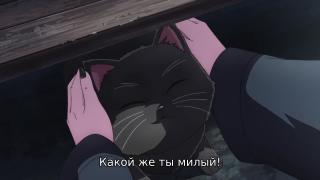 Котенок! 