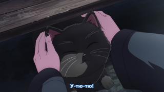 Nyanko