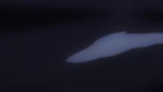 кайф