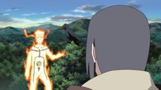 518