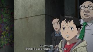 цветы