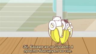 ;;;