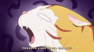 котощупальца