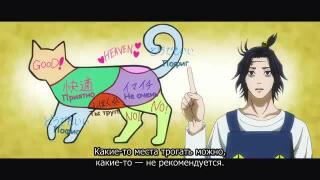 Позновательное аниме
