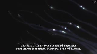 fvgfdsxv