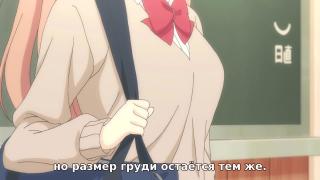 Грудь