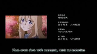 Fin of Your lie in April