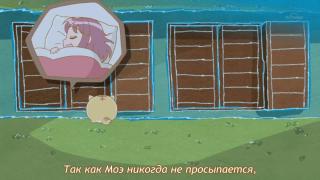 Мои коты по ночам тоже так делают