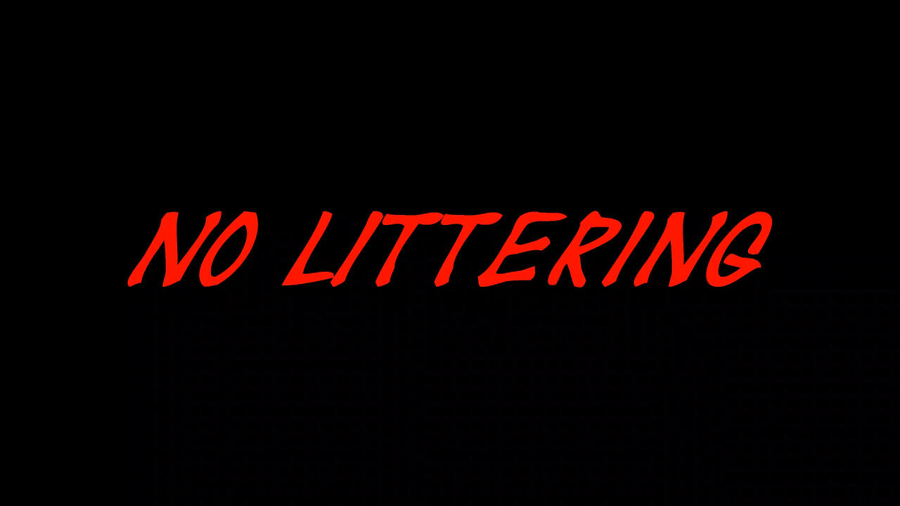 No Littering постер