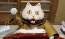 Kotatsu Neko (ONA) постер