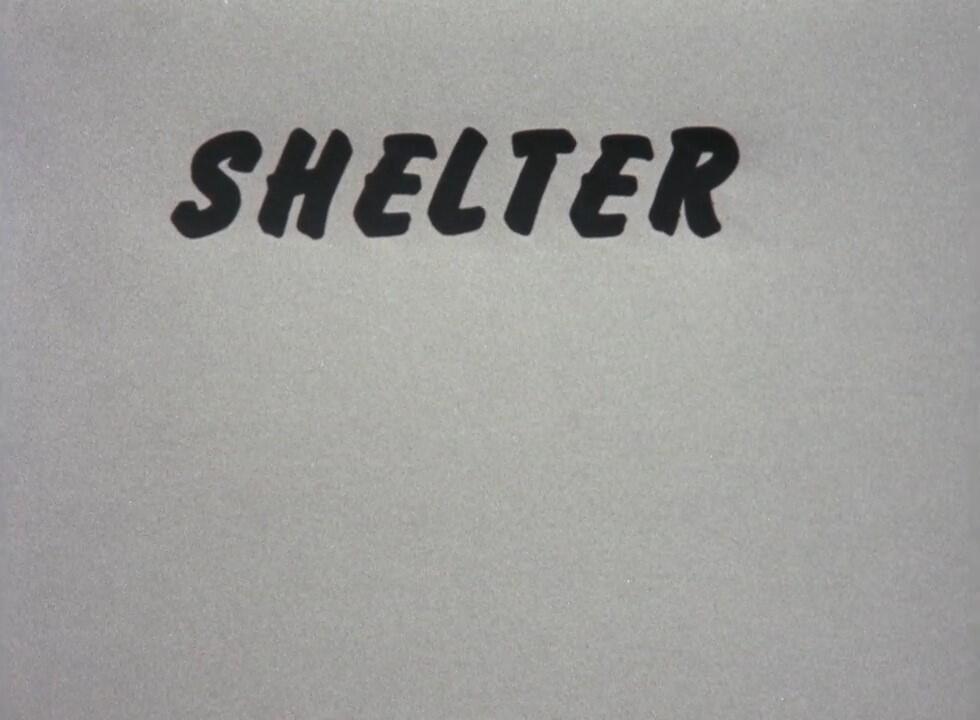 Shelter постер