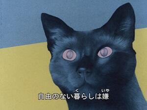 Cat's Eye Love постер