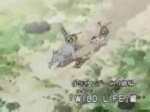 Shounen Sunday CM: Wild Life постер