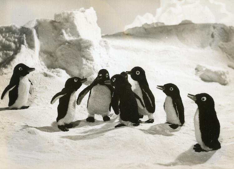 Penguin Boy Lulu to Kiki постер