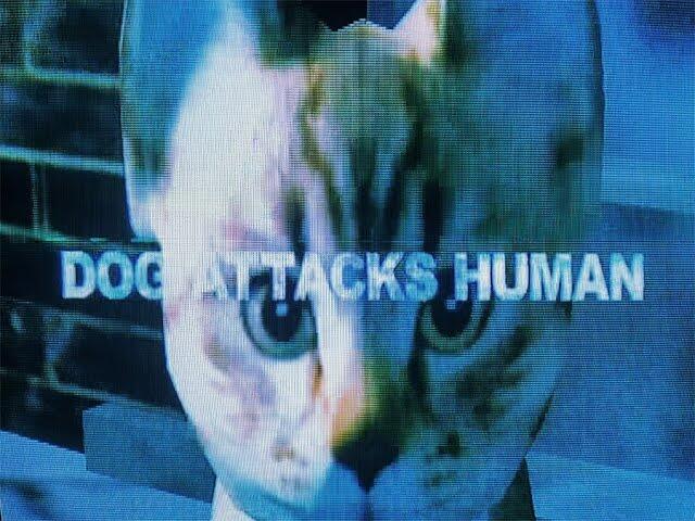 Dog Attacks Human постер