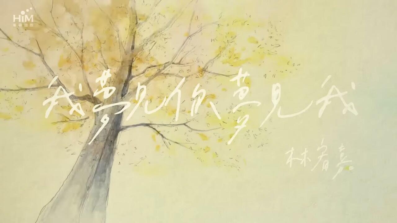 Wo Mengjian ni Mengjian wo постер