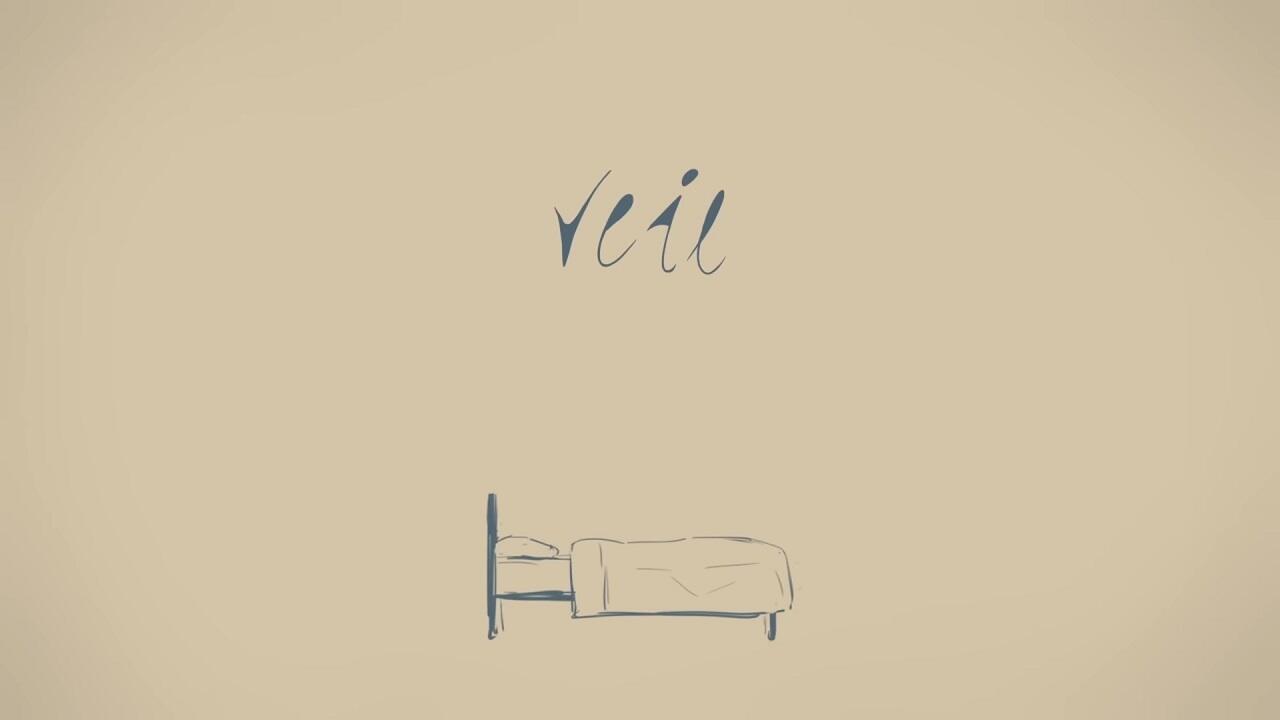 Veil (July 2019) постер