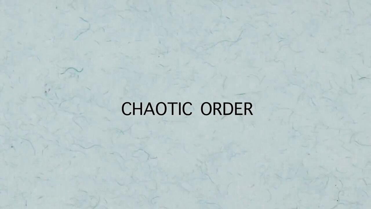 Chaotic Order постер