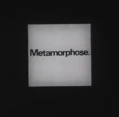 Metamorphose. постер