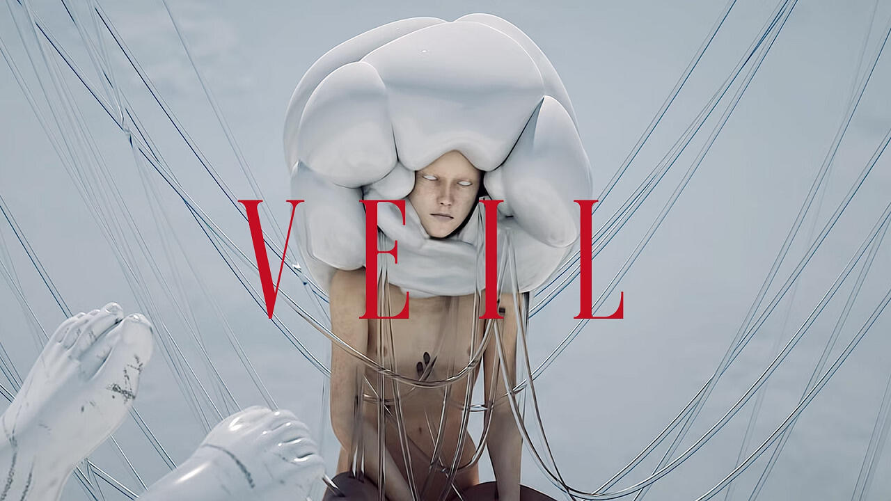 Veil постер