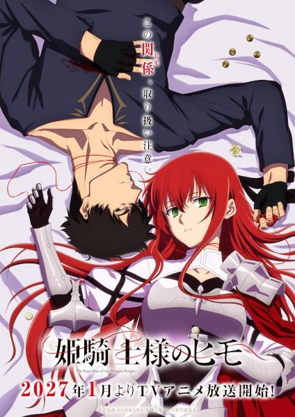 Himekishi-sama no Himo постер