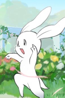 Prima Rabbit постер