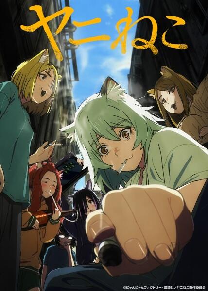 Yani Neko постер