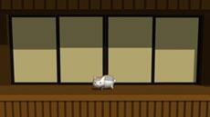 Zoku Natsume Yuujinchou: 3D Nyanko-sensei Gekijou постер