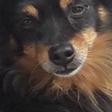 Матвей Степанов