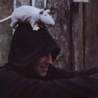 Егор Летов
