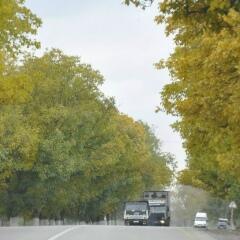 Roman Abdurahmanov