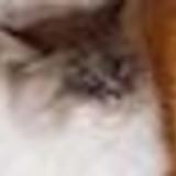 strangenpc