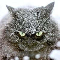 Женя Подолянчук