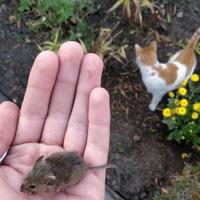Данил Солодких