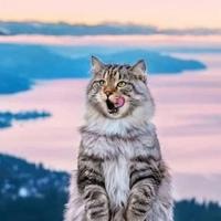 Кирилл Васькин