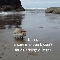 Никита Гафаров
