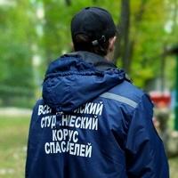 Владимир Тригуб