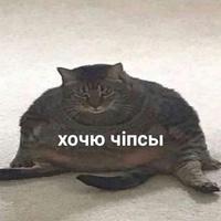 Виолетта Морозова