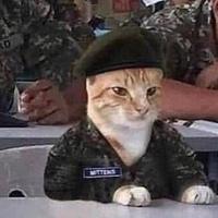 Дамир Закиров