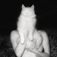Полина Котова