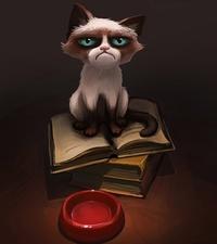 NoteCat236