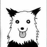 wolffirst
