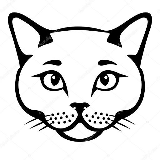 KOTIK